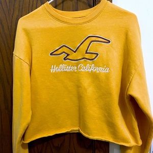 Mustard Yellow Hollister cropped crew neck